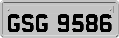GSG9586