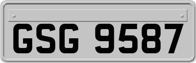 GSG9587
