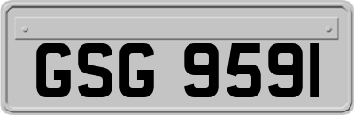 GSG9591
