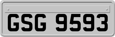 GSG9593
