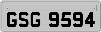 GSG9594