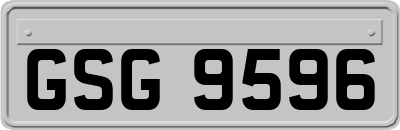 GSG9596