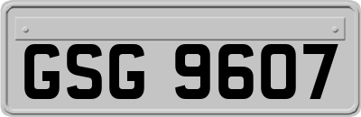 GSG9607