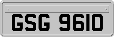 GSG9610