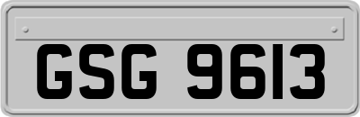 GSG9613