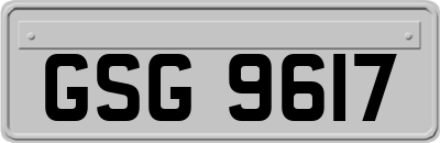 GSG9617