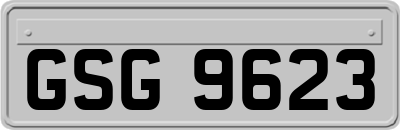 GSG9623