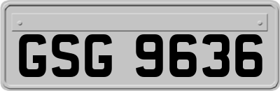GSG9636