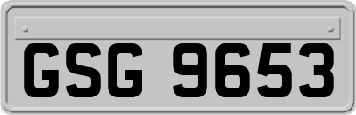 GSG9653