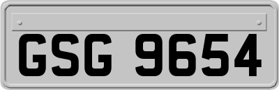 GSG9654