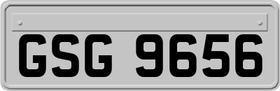 GSG9656
