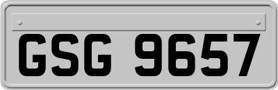GSG9657