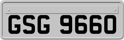 GSG9660