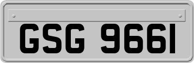 GSG9661