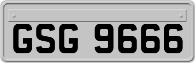 GSG9666