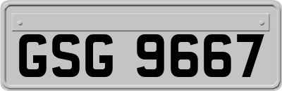 GSG9667