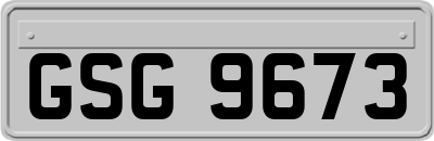 GSG9673