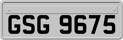 GSG9675