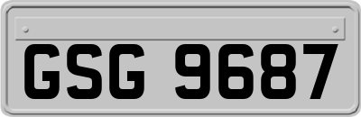 GSG9687