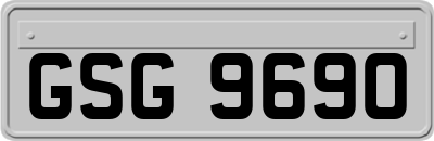 GSG9690