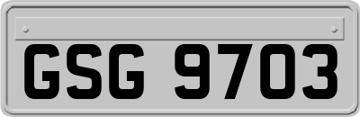 GSG9703