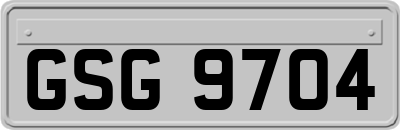 GSG9704