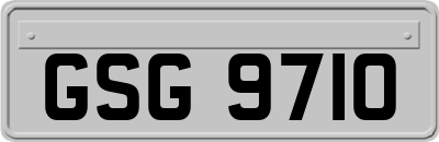 GSG9710