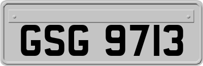 GSG9713
