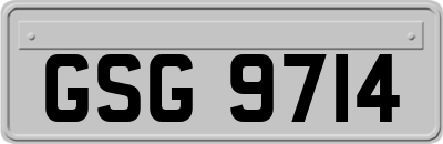 GSG9714
