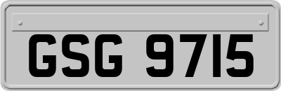 GSG9715