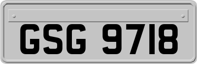 GSG9718