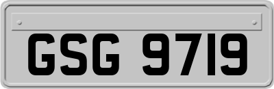 GSG9719
