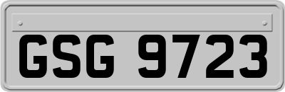 GSG9723
