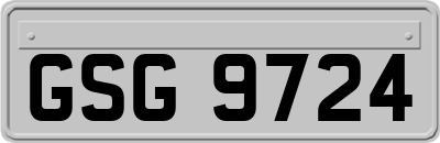 GSG9724