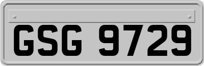 GSG9729