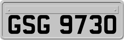 GSG9730
