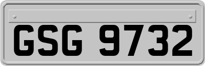 GSG9732