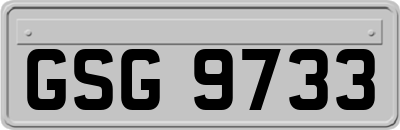 GSG9733