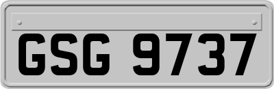 GSG9737