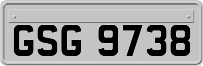 GSG9738