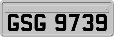GSG9739