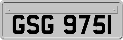 GSG9751