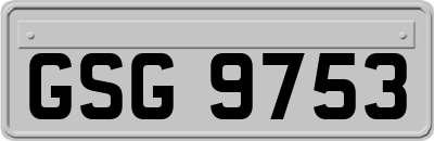 GSG9753