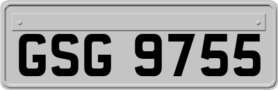 GSG9755