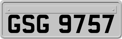 GSG9757