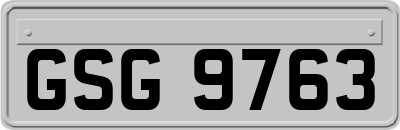 GSG9763