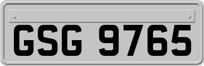 GSG9765