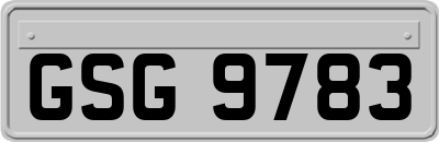 GSG9783