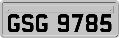 GSG9785
