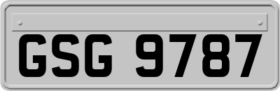 GSG9787